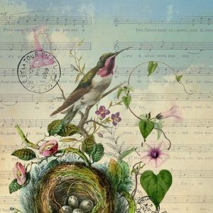 Meet your Posher, Connie